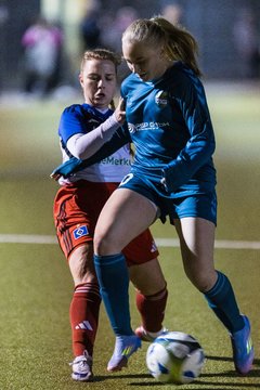 Bild 136 - F SC Alstertal-Langenhorn - Hamburger SV 3 : Ergebnis: 2:2